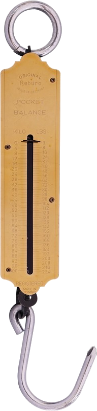 Balanza De Soporte 100 kg 23910-main-image